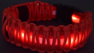 How to Wrap an LED Dog Collar with Paracord  BoredParacord [upl. by Eneloc]