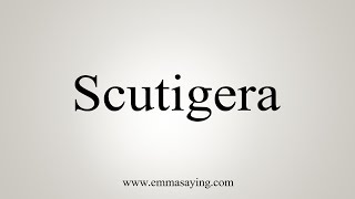 How To Say Scutigera [upl. by Emmalynne]