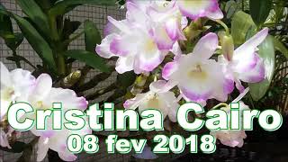 Cristina Cairo 08022018  O Signo de Peixes Seus Pés [upl. by Agler]