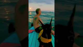 Dobies Bark at the Moon paddleboardingkayaking dobermanpinscherHawaiiShortsFullMoonmoonrise [upl. by Hakym35]