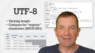 What are UTF8 and UTF16 Working with Unicode encodings [upl. by Acinoed648]