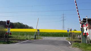 Bahnübergang Westerkappeln Ringstraße  Railroad Crossing  Spoorwegovergang [upl. by Atsirhcal]