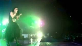 Evanescence  Farther Away subtitulado Live [upl. by Aiuqal]