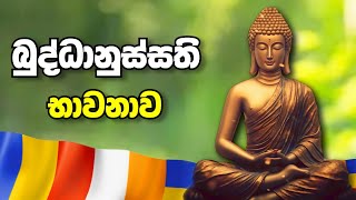 බුද්ධානුස්සති භාවනාව  Buddhanussathi Bhawanawa  Maha Karunika Wu  Sadaham Thilina [upl. by Ainessej]