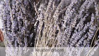 Hoe kruiden drogen [upl. by Mathi]