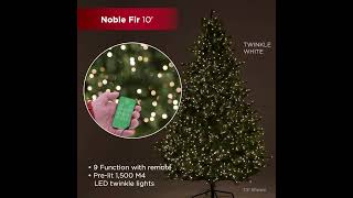 10 ft Noble Fir Full Christmas Tree Lighting [upl. by Yedorb269]