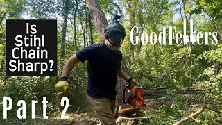 Running a Brand New Stihl Chain Is It Sharp Everything Went Wrong Part 2 [upl. by Lleroj41]