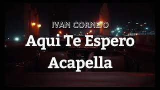 Ivan Cornejo  Aqui Te Espero Studio Acapella [upl. by Delcine481]