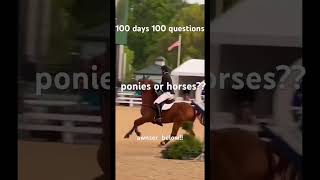 TRAMPLED  horse equestrian viralvideo pony fyp [upl. by Nibroc553]