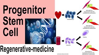 PROGENITOR STEM CELL POWER FULL CELLS FOR REGENERATIVE MEDICINE  Dr SASI [upl. by Sissie]