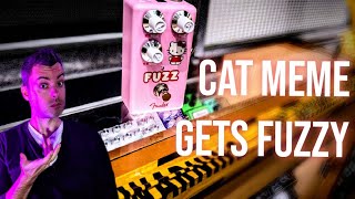 Fender Hello Kitty Fuzz More Than A Meme [upl. by Marsiella]