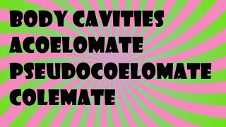 Biology Body Cavities Acoelomate Pseudocoelomate Colemate [upl. by Llerrah117]