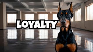 Top 5 Reasons to Own a Doberman [upl. by Deck]