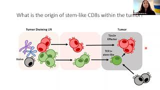 Nataliya Prokhnevska CD8 T cell activation in cancer [upl. by Fedirko127]