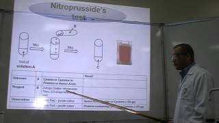 Nitroprussides test Part 1 Identification of Amino Acids Cysteine or Cystine [upl. by Karee171]