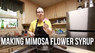 How To Make Mimosa Flower Syrup [upl. by Dygal]