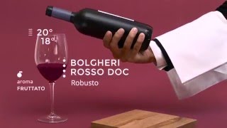 Enoteca online per il vino di qualità  VINO75 Spot TV [upl. by Aldarcie]