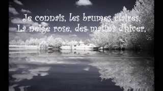 LOiseau  Vox Angeli from Belle amp Sébastien paroleslyrics [upl. by Hippel]