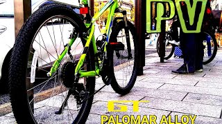 PV GT PALOMAR ALLOY [upl. by Airtap]