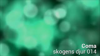 Coma  skogens djur 014 [upl. by Ainesell]