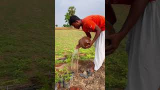 ప్రపంచ పర్యావరణ దినోత్సవం 💚🌳🍀🌵🍃🙏 [upl. by Philina]