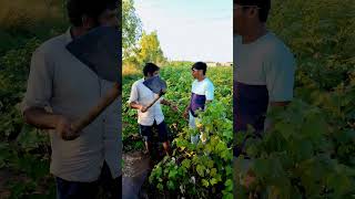 I phone comedy video funny viralvideo comedy [upl. by Izzy]