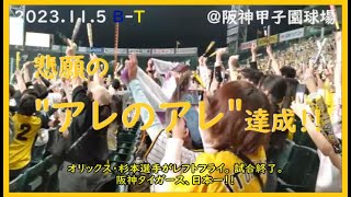 日本シリーズ2023第7戦 阪神タイガース、quot38年ぶりの日本一quotの瞬間！ ＠阪神甲子園球場～パブリックビューイング～《永久保存版》【阪神タイガース】 [upl. by Mccafferty]