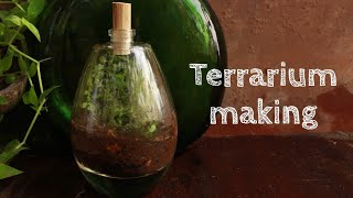 •● TERRARIUM IN 10 MINUTES ●• easy terrarium making • potted earth • [upl. by Ttayh]