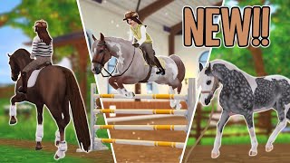 STAR STABLE SECRETLY ADDED THESE THINGS TO THE GAME amp NOBODY NOTICED [upl. by Annirtak]