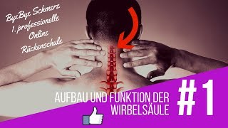 💡Aufbau und Funktion der Wirbelsäule💡ByeBye Schmerz Wir starten [upl. by Frankel]