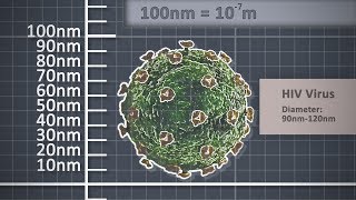 The Metre  Metric unit of length  Scale comparison [upl. by Pentha]