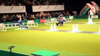 Flyball Final Crufts 2011 [upl. by Janyte955]