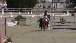 CSO Poney 2D cadet 1 Excellence ALISON ARYS [upl. by Ranita521]