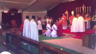 Holy Cross Seminary  Ordinations 2015 [upl. by Ilellan69]