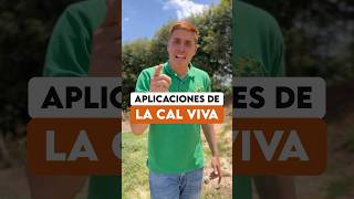 Aplicaciones de la cal viva en el GALPÓN de GALLINAS PONEDORAS [upl. by Alrick643]