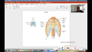 Respiratory system physiology  Part 1 [upl. by Andriana583]