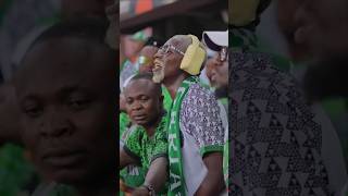 Super Eagles Song Fans Celebration nigeria afcon [upl. by Eladnek755]