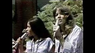 Starland Vocal Band  Afternoon Delight 1976 [upl. by Mauve]