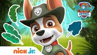 Extended Trailer FtTracker 🐾 NEW Full Episode on  PAW Patrol  Nick Jr [upl. by Eceerehs871]