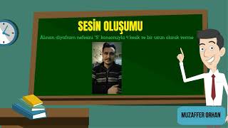 Müzik Dersi  Sesin Oluşumu Animasyonu [upl. by Citron]