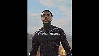 I AM NOT DIED  BLACK PANTHER EDIT  ALL THE STAR shorts viralvideo [upl. by Antonina]