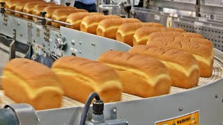 How Millions Of Bread are Made In A Huge Factory 🍞🏭 [upl. by Verneuil]