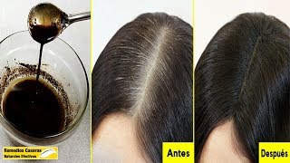 Usa Este Tinte Casero Para El Pelo  Convierte Las Canas En Negro Naturalmente En 30 Minutos [upl. by Mortimer]