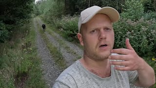 SPAZIERGANG mit WOLF im WALD  DDR LINIE [upl. by Hokanson]