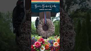 Brians Birdseed Wreaths  Sold on Amazon [upl. by Etnoved]