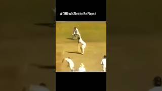 Sachin Tendulkar After Being Hit On Helmet  Revenge In Cricket [upl. by Michaella608]