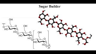 Lecture4Hyperchem Sugar Builder [upl. by Bear]