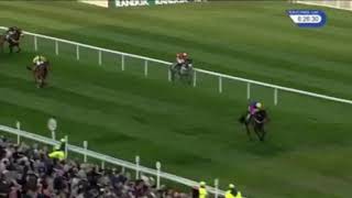 Jockey gets trampled on by a horse [upl. by Han]