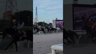 【ダービー馬主】無職の地方競馬【そして伝説へ】202410304 [upl. by Issej53]