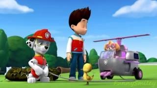 Paw Patrol English Pup Pup Goose Pup Pup and Away part 16 brief episode [upl. by Lem]